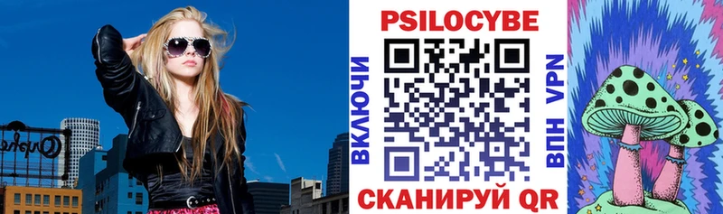 как найти наркотики  Альметьевск  Псилоцибиновые грибы мухоморы 