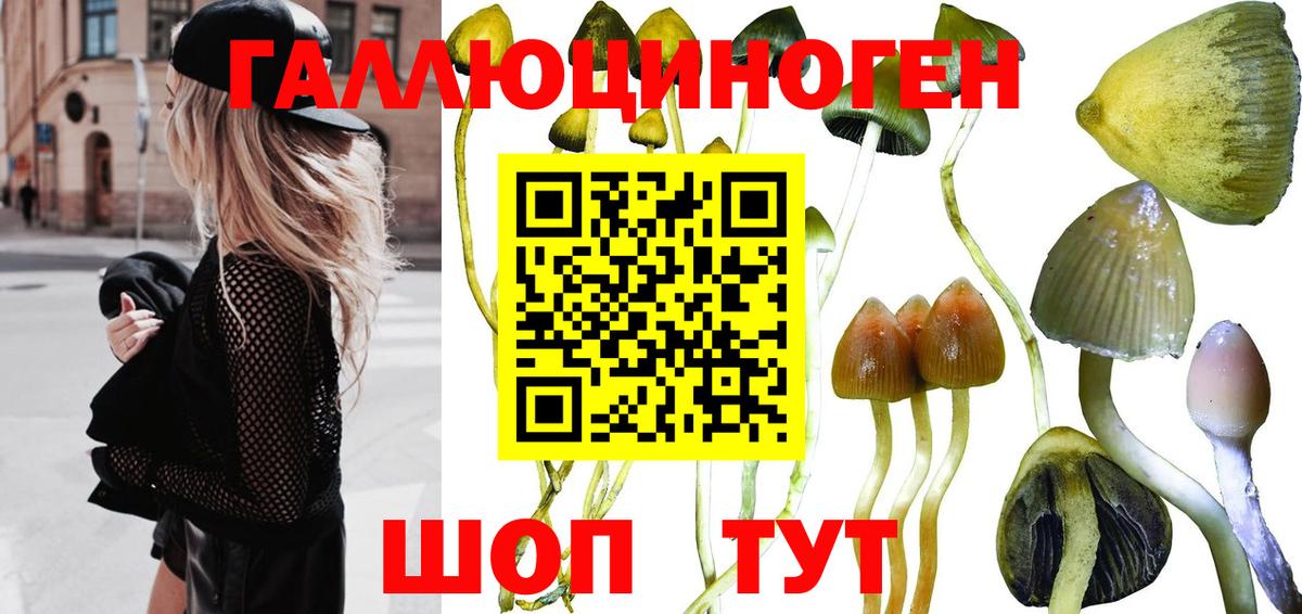 Псилоцибиновые грибы мухоморы Альметьевск