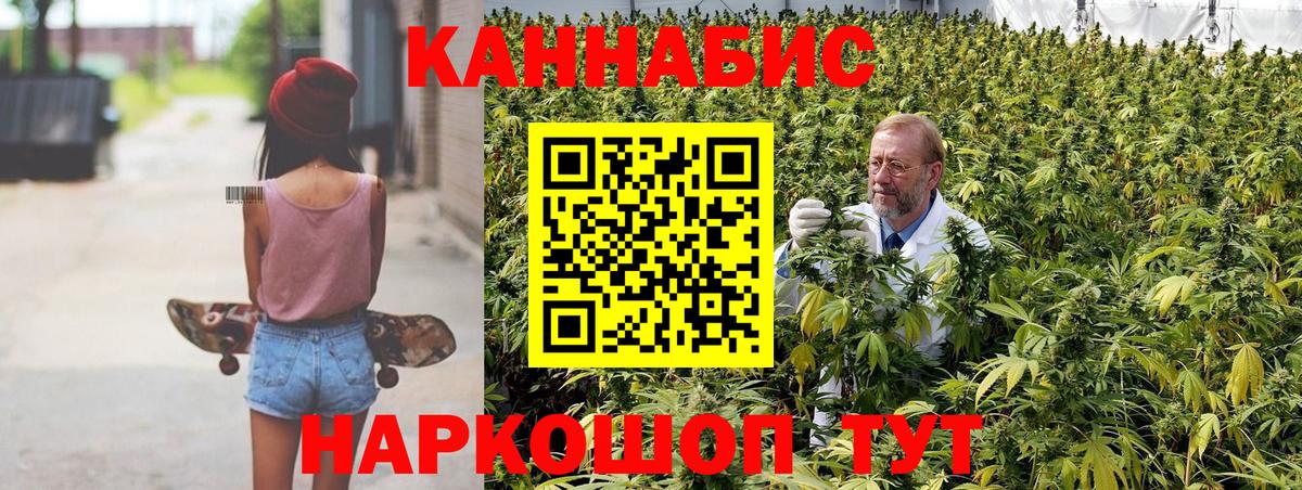 МАРИХУАНА OG Kush  Бошки марихуана план  Вход с VPN  Альметьевск  Бошки Шишки SATIVA & INDICA 